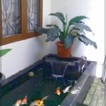 kolam ikan di teras rumah minimalis