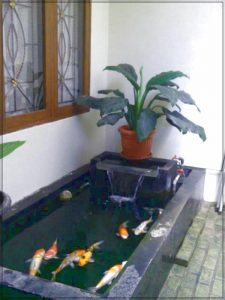 kolam ikan di teras rumah minimalis