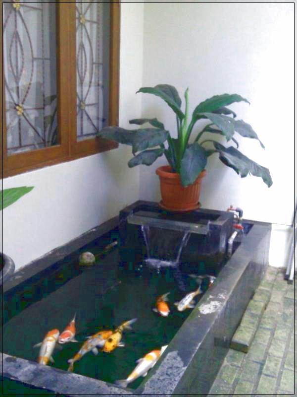Kolam ikan di teras rumah minimalis-09 - Informasi Rumah